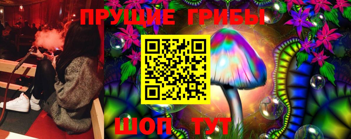 Омск  Галлюциногенные грибы Psilocybe  Галлюциногенные грибы прущие грибы  Вход с VPN 
