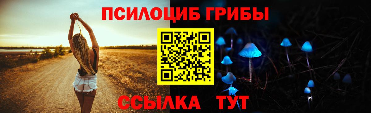 Галлюциногенные грибы прущие грибы Омск